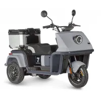 Электротрицикл Wanshida DOUHAO 60V 800Вт Серо-черный